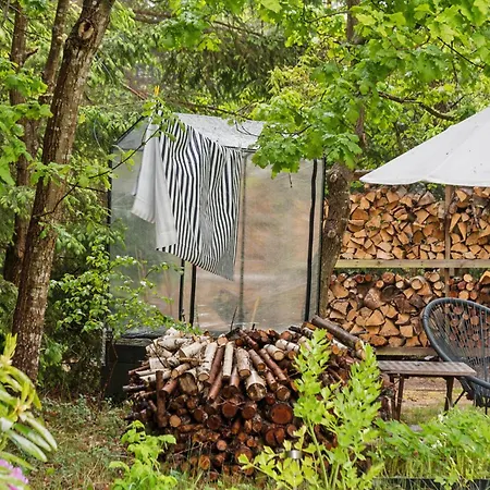 Cozy Near The And Nature 度假居 Frederiksværk